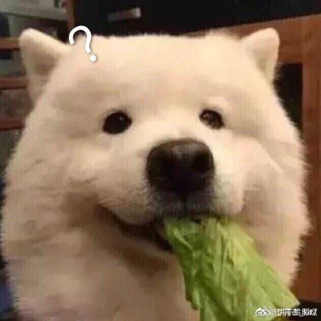 鹿鹿
