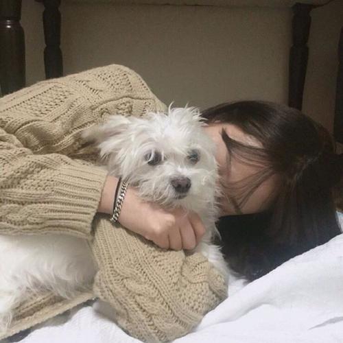 德意的啸
